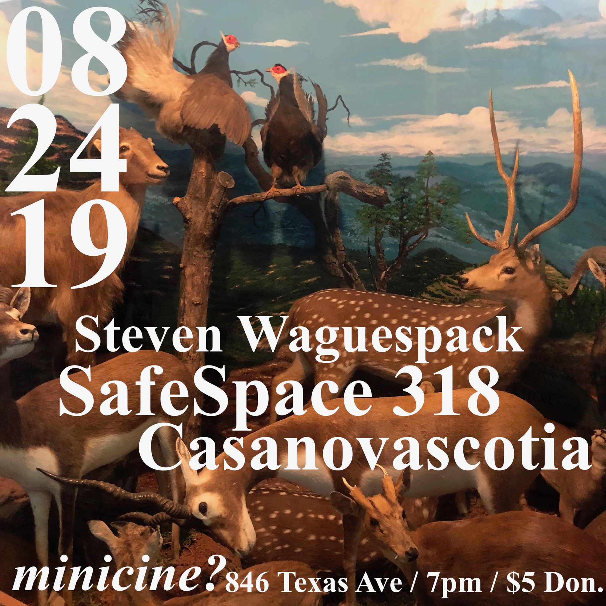 Safe Space 318 / Casanovascotia / Steven Waugespack flyer